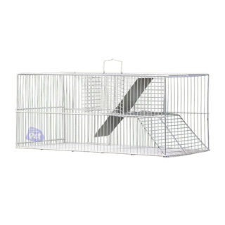 RATOEIRA GRANDE N. 14-B