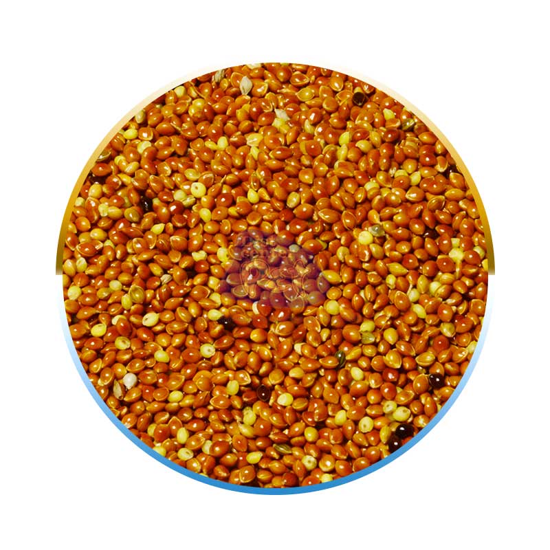 PAINÇO VERMELHO 50 KG