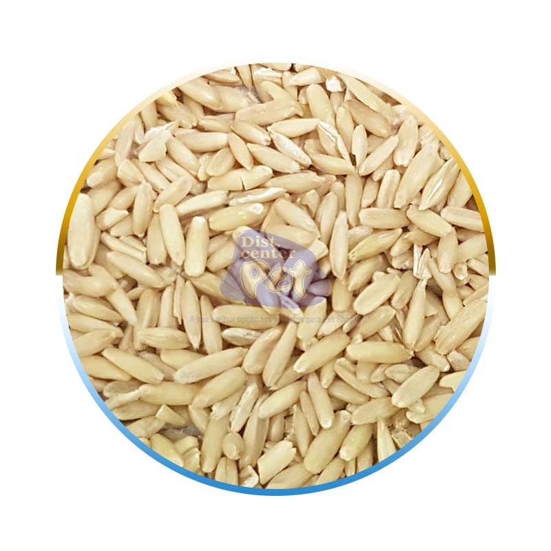 AVEIA S/ CASCA 5 KG