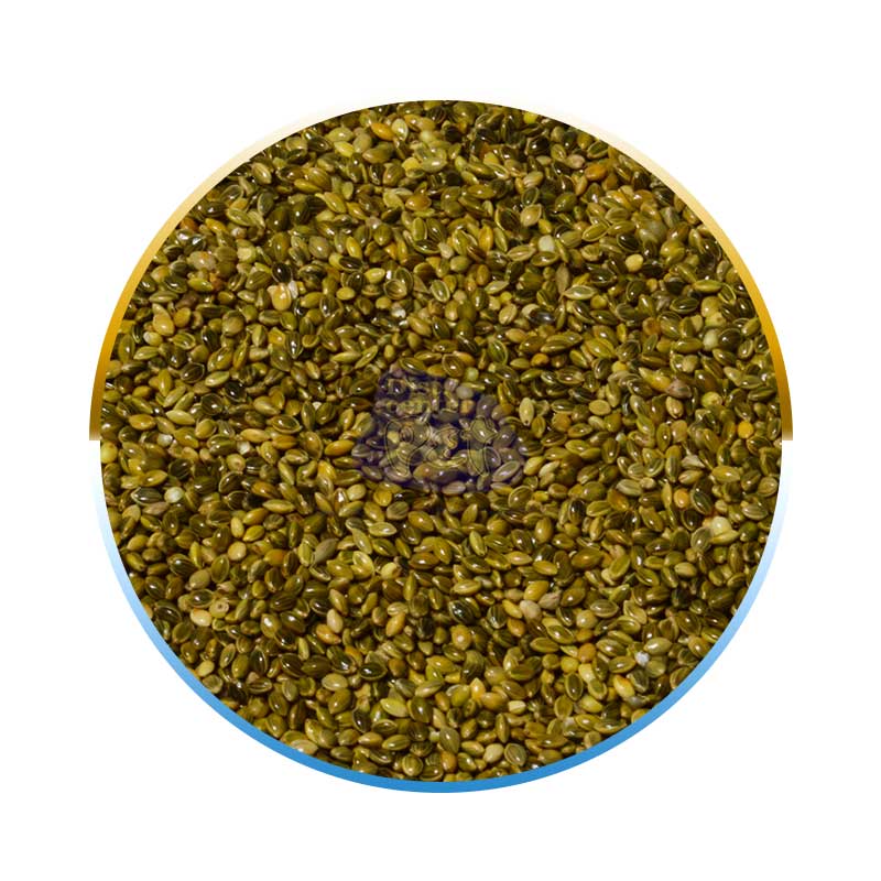 PAINÇO VERDE 25 KG