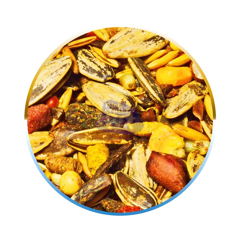 MISTURA P/ PAPAGAIO C/ FRUTAS 10 KG