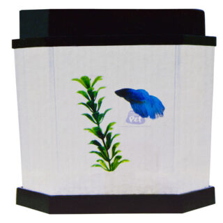 BETEIRA BETTA-FLEX 5.5 L - KIT COMPLETO