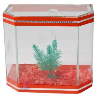 BETEIRA LESTER - DECORADA