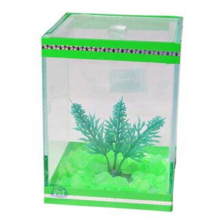 BETEIRA QUADRADA - DECORADA