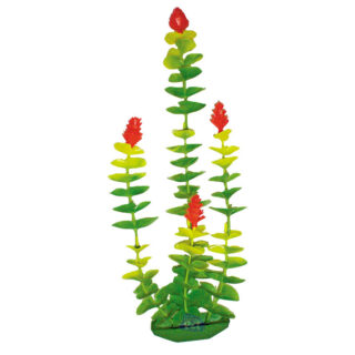 PLANTA PLÁSTICA MÉDIA
