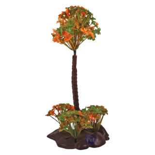 CORAL SOLAR PLUS