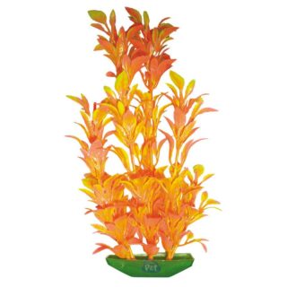 PLANTA LOBÉLIA PLUS