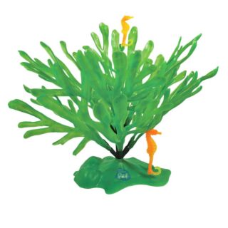 PLANTA ALGA PLUS
